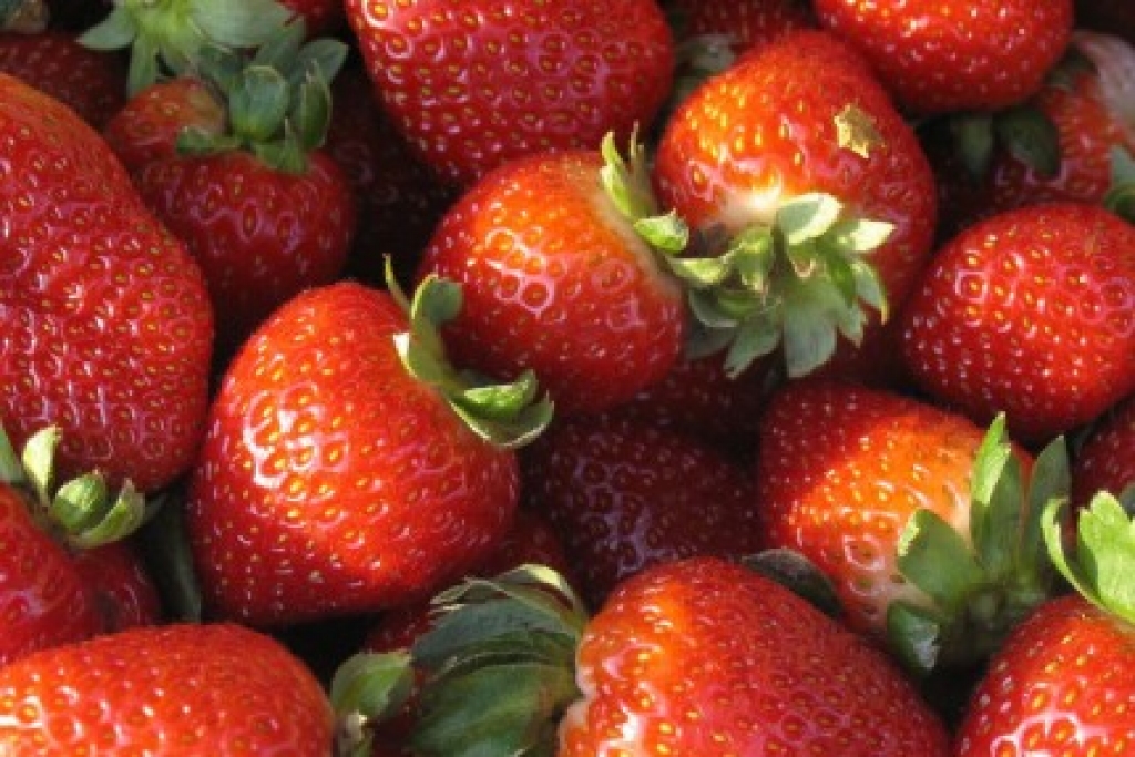 Fotoattēlam ilustratīva nozīme.
Autors: db.lv