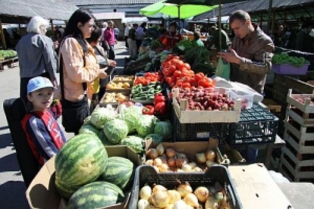 Fotoattēlam ilustratīva nozīme.
Autors: zz.lv