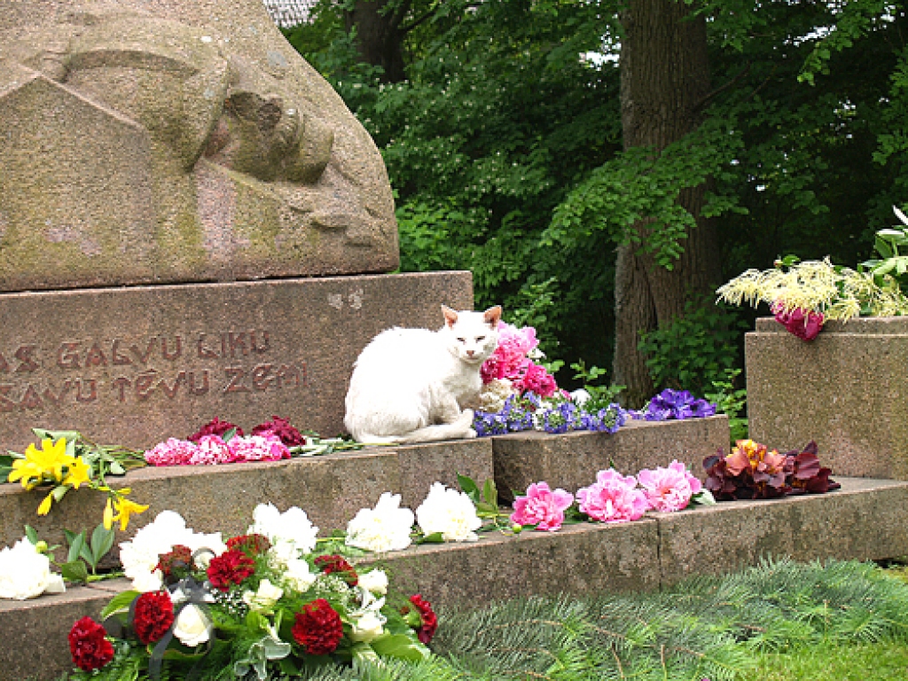 Otrdien pulksten 18 pie Brīvības pieminekļa Iecavas parkā sāksies svinīgs sarīkojums, simbolisko ziedu ceļu veidot aicināts katrs pats.
Autors: no «Bauskas Dzīves» arhīva