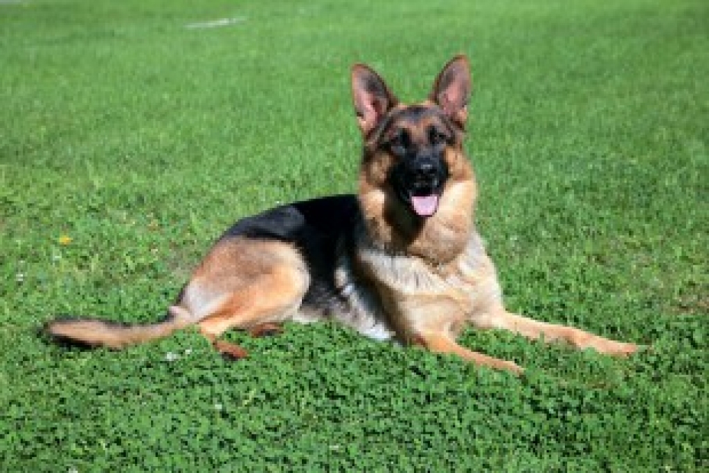 Fotoattēlam ilustratīva nozīme.
Autors: nra.lv