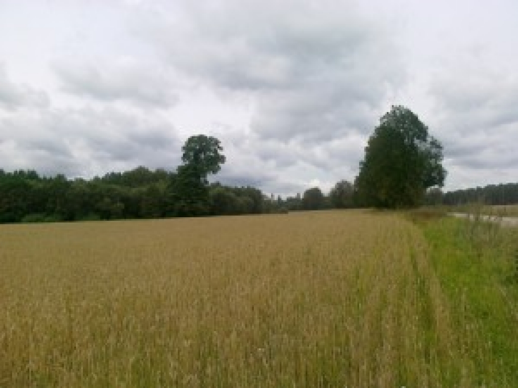 Fotoattēlam ilustratīva nozīme.
Autors: diena.lv