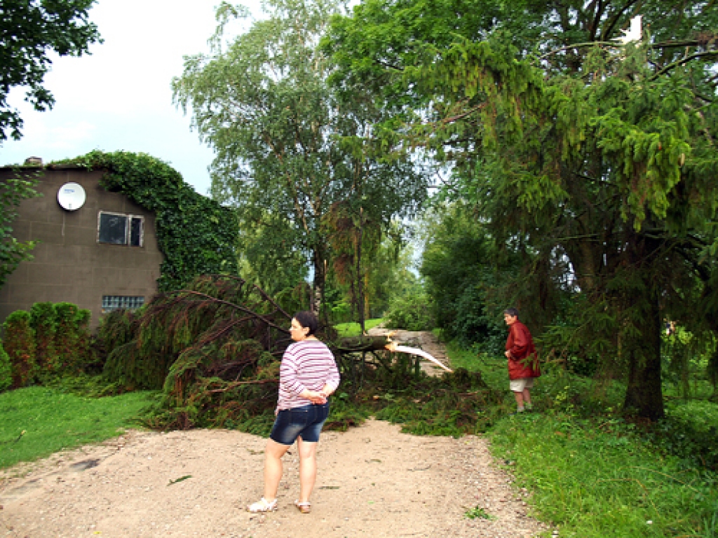 Iecavas novada Zorģos ļaudis, novācot kokus un zarus, vienojās – labi, ka cilvēki dzīvi un ēkas veselas.