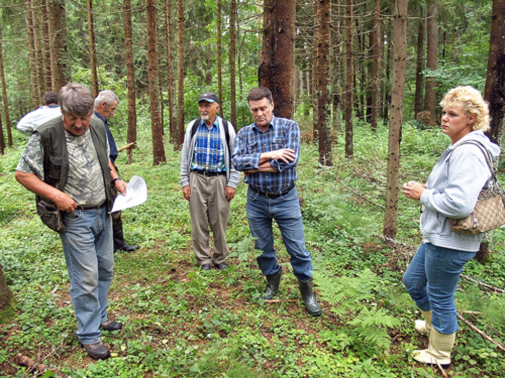 «Lejas Kleperu» saimnieks Raimonds Klepers (no kreisās) mūspuses mežu īpašniekiem rāda mazās eglītes, kas sadīgušas izlases veidā cirstajā mežā. 