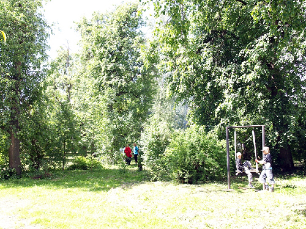 Dievdārziņa vecajās liepās ir pūču ligzdošanai piemēroti dobumi.