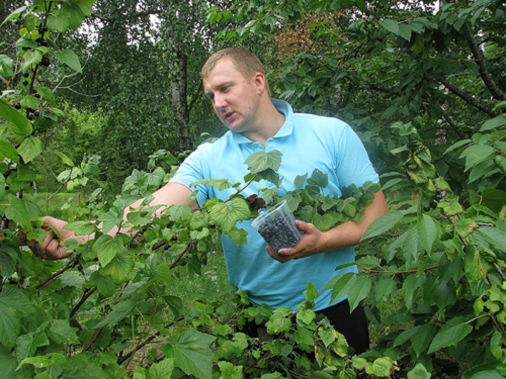 Oskars Brauhbārs no Valkas novada atvaļinājumu vada Brunavas pagastā. Te viņš palīdz vecākiem novākt dārzā izaudzēto un realizēt ražu tirgū.
Autors: Vilnis Auzāns