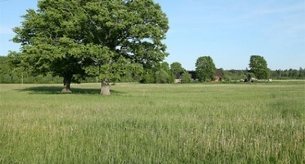 Autors: no www.unity.lv