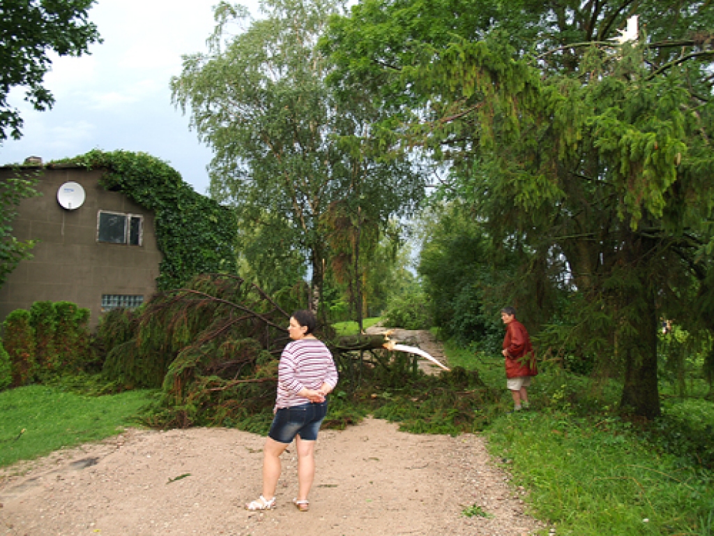 Kad Iecavas novada Zorģu apkaimē ļaudis ķērās novākt kokus un zarus, visi vienojās – labi, ka cilvēki dzīvi un ēkas veselas.
Autors: Antra Ērgle