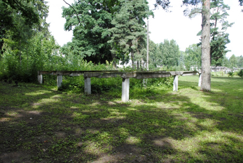 Šajā vietā Brunavas pagasta Ērgļos biedrība «Māmiņu klubs «Stīga»» iecerējusi atjaunot estrādi.
Autors: Ivars Bogdanovs