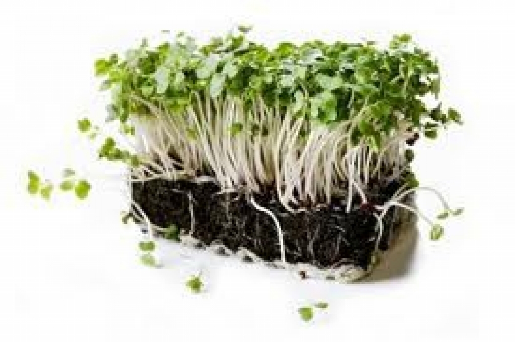 Attēlam ilustratīva nozīme.
Autors: no www.sieviesuklubs.lv