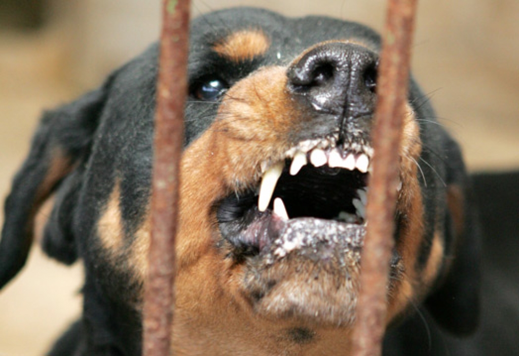 Attēlam ilustratīva nozīme.
Autors: LETA no www.kasjauns.lv