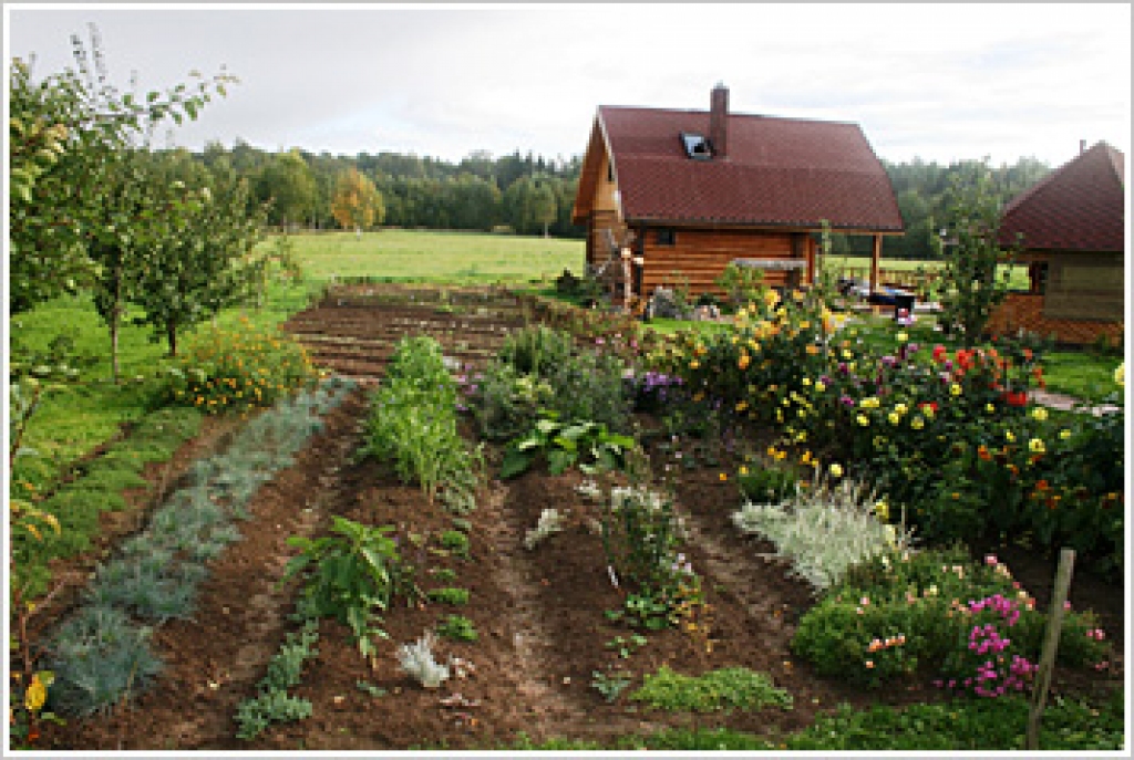 Attēlam ilustratīva nozīme.
Autors: no www.staduaudzetava.lv