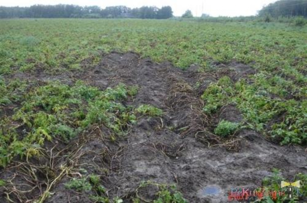 Attēlam ilustratīva nozīme.
Autors: no www.sabiedribamarupe.lv