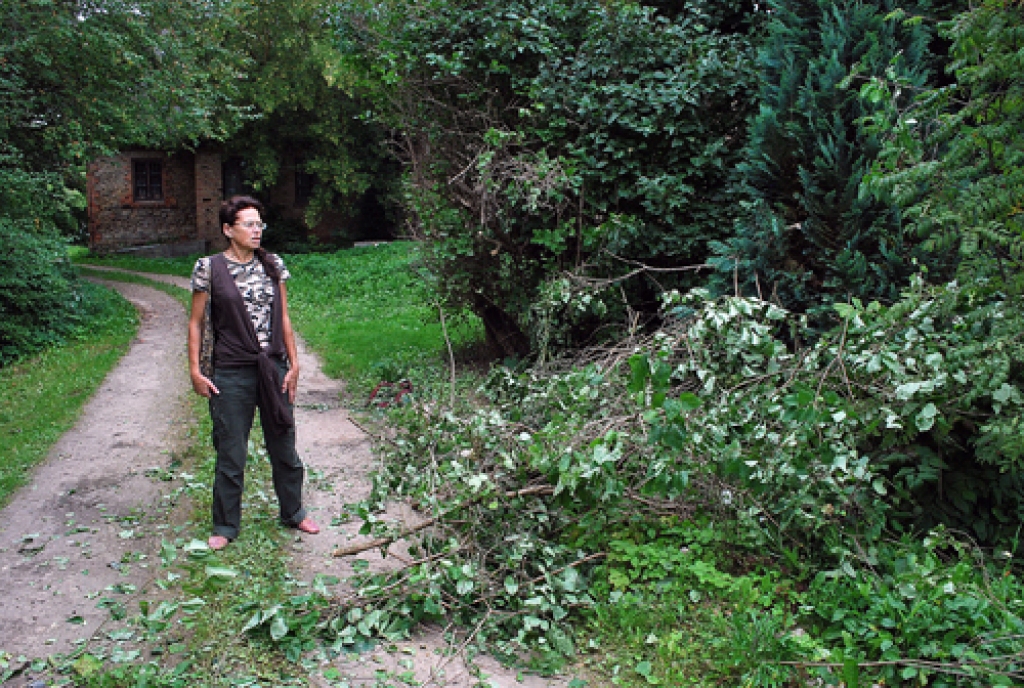 Nozāģētie zari samesti A. Circenes privātīpašumā. 