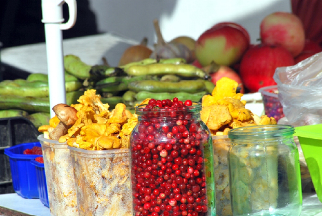 No Bārbeles pagasta mežiem nākušās dabas veltes. 