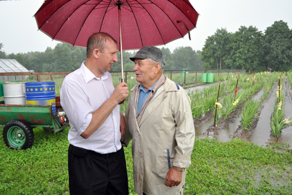 Visvaldis Viņķelis (no labās), gladiolu selekcionārs no Stelpes pagasta «Piņņiem», sarunā ar komisijas pārstāvi Arvīdu Zvirbuli nebēdāja par spēcīgajām lietusgāzēm, bet ar prieku uzņēma viesus savā saimniecībā.