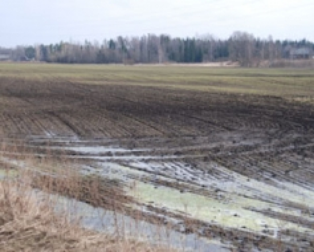Fotoattēlam ilustratīva nozīme