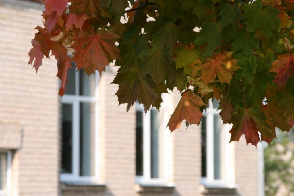 Autors: no www.poga.lv