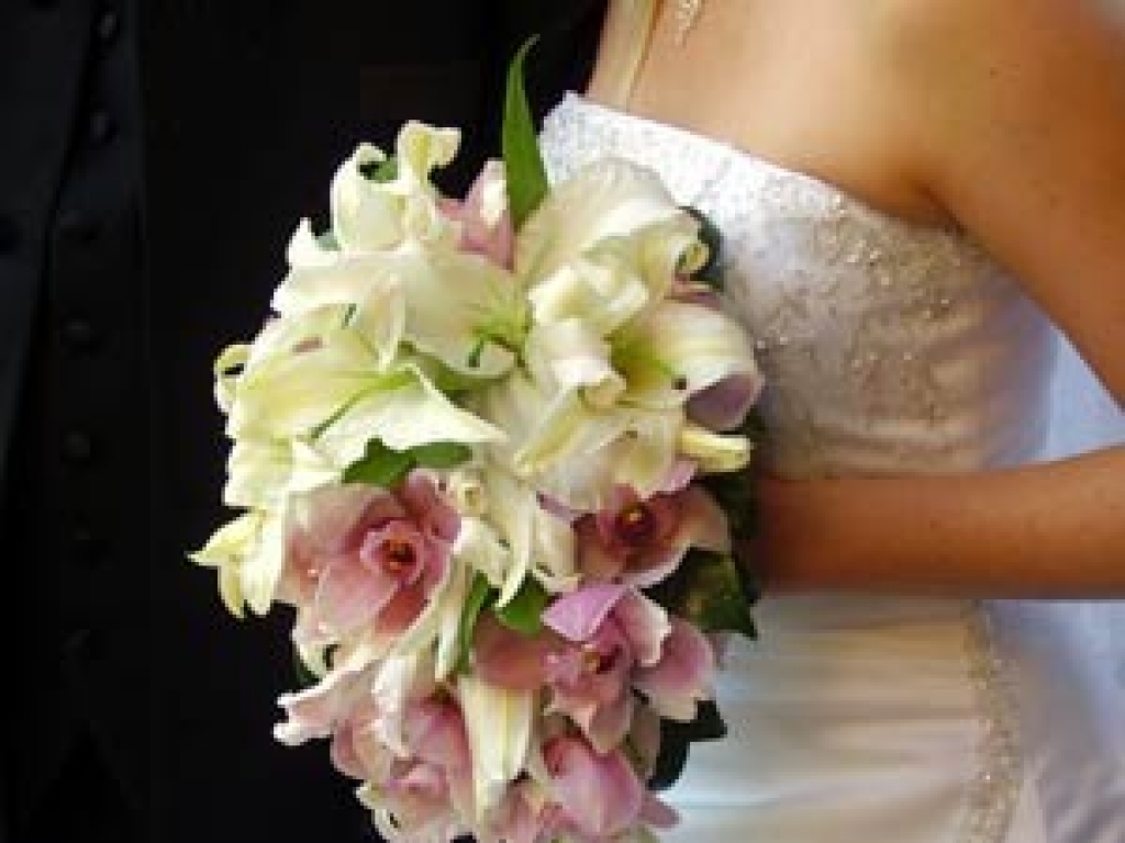 Fotoattēlam ilustratīva nozīme.
Autors: apollo.lv