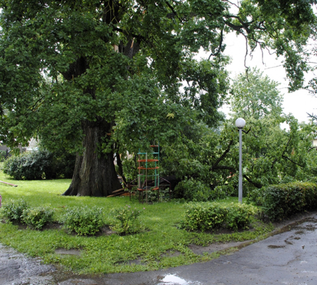 Autors: No «Bauskas Dzīves» arhīva.