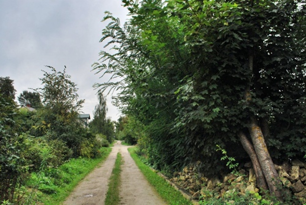 Autors: No «Bauskas Dzīves» arhīva.