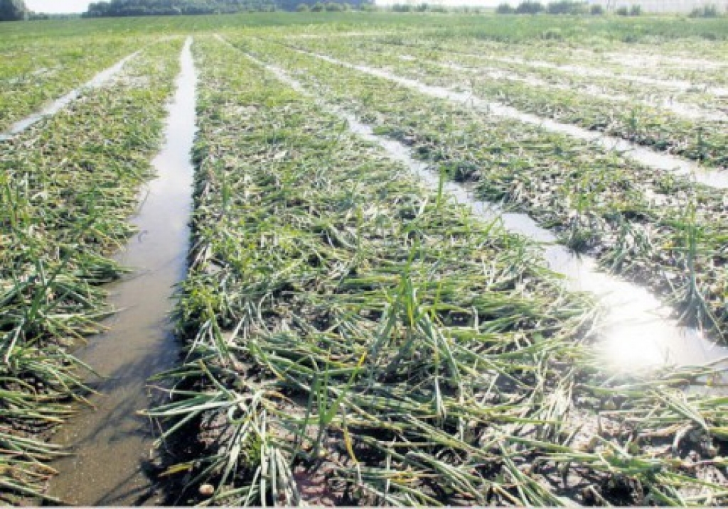 Fotoattēlam ilustratīva nozīme.
Autors: nra.lv