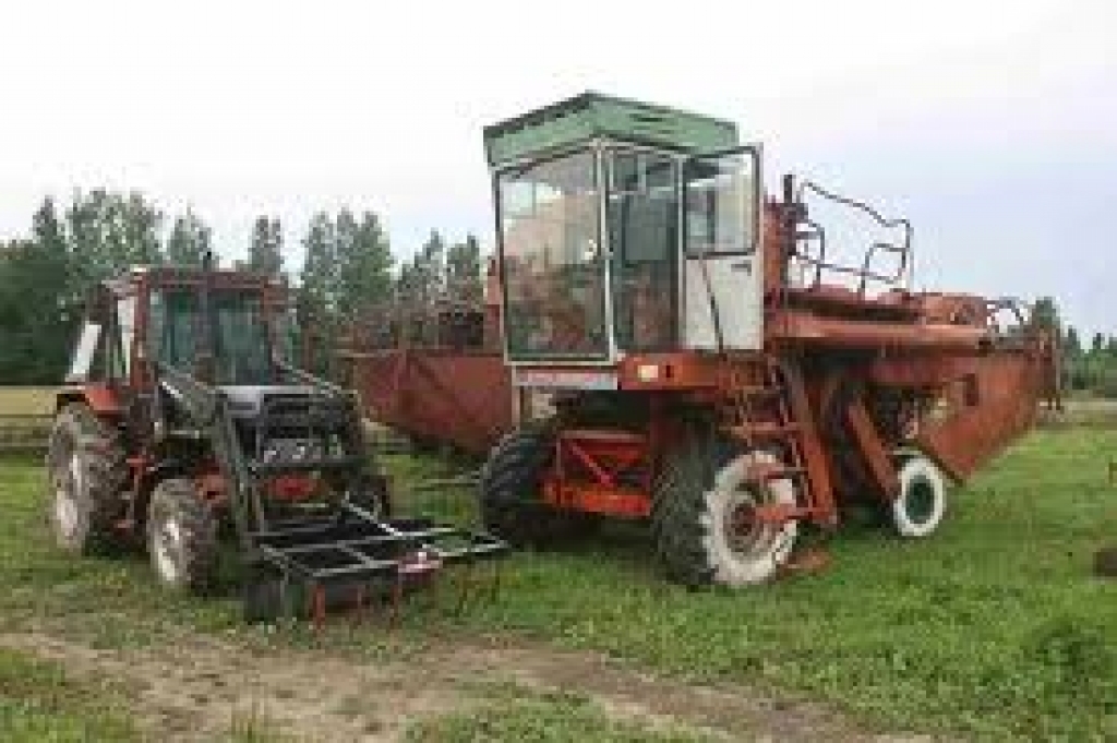 Fotoattēlam ilustratīva nozīme.
Autors: db.lv