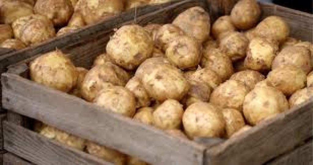 Fotoattēlam ilustratīva nozīme.
Autors: kasjauns.lv