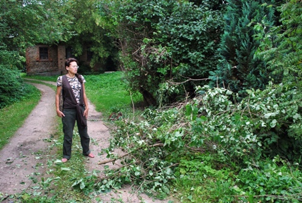 Nozāģētie zari samesti A. Circenes privātīpašumā. 
Autors: Uldis Varnevičs