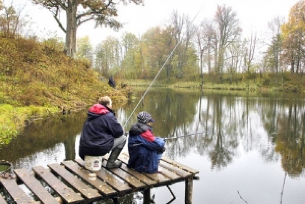 Fotoattēlam ilustratīva nozīme.
Autors: No «Bauskas Dzīves» arhīva.