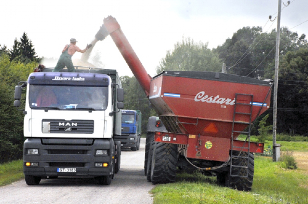 SIA «Uzvara-Lauks» graudi no lauka tiek novesti ar traktoru, lai neblietētu augsni. Lauka malā tos pārber automašīnās.
Autors: Ivars Bogdanovs
