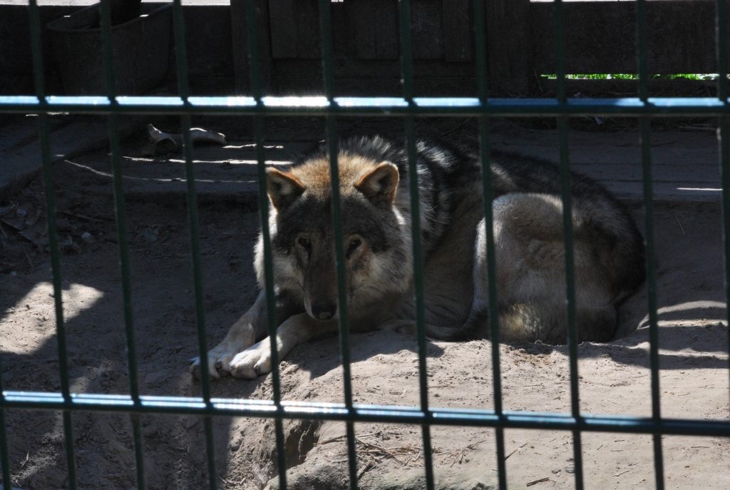 Autors: no «Bauskas Dzīves» arhīva