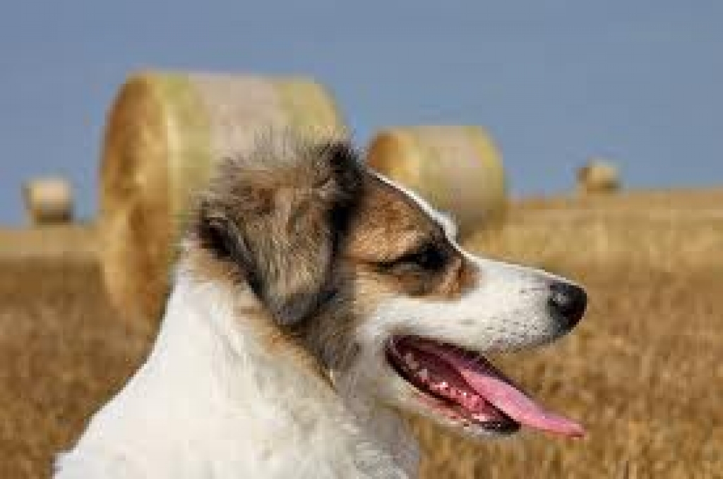 Fotoattēlam ilustratīva nozīme.