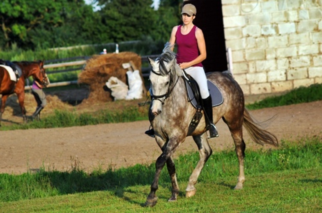 Iveta Andersone trenējas ar Bugatti Codes pagasta Veldrēs.
Autors: Uldis Varnevičs