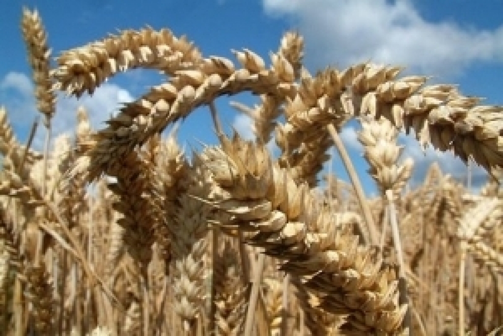 Autors: saimnieks.lv