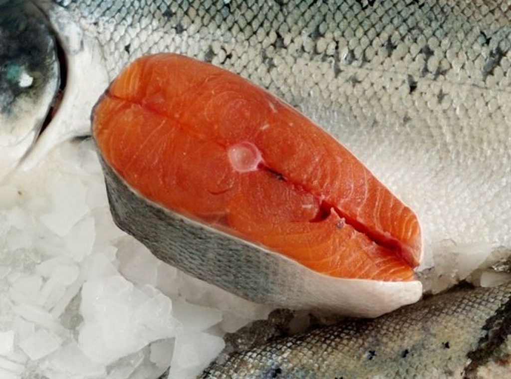 Fotoattēlam ilustratīva nozīme.