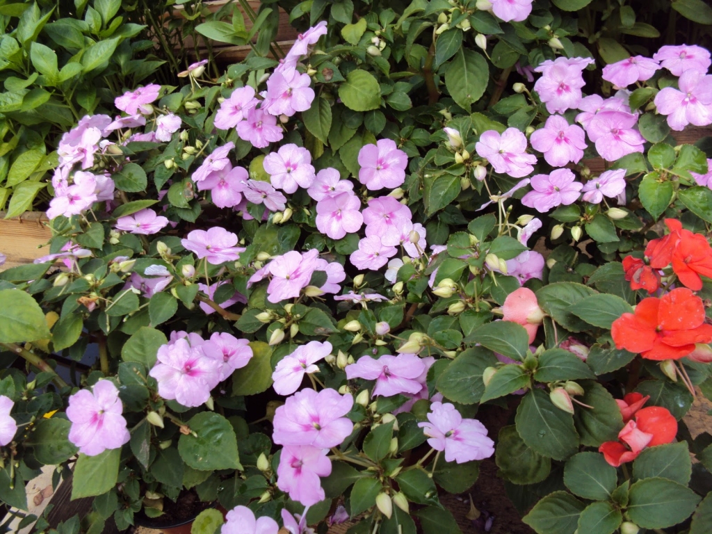 Fotoattēlam ilustratīva nozīme.