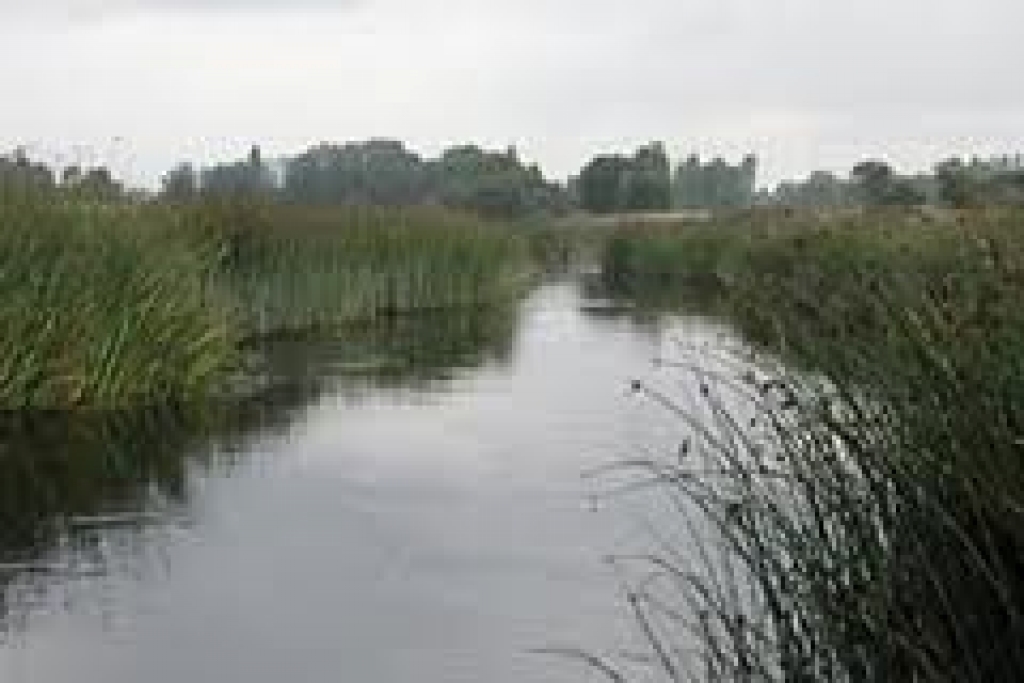 Fotoattēlam ilustratīva nozīme.