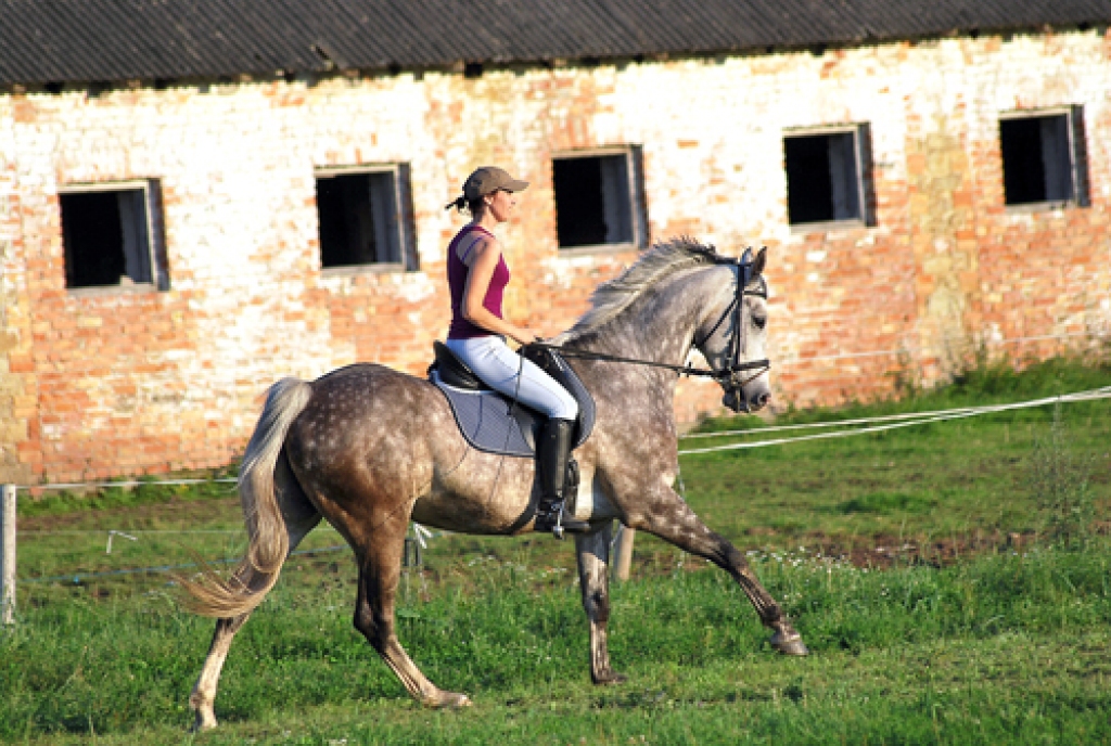 Iveta Andersone ar Bugatti trenējas «Veldrēs».
