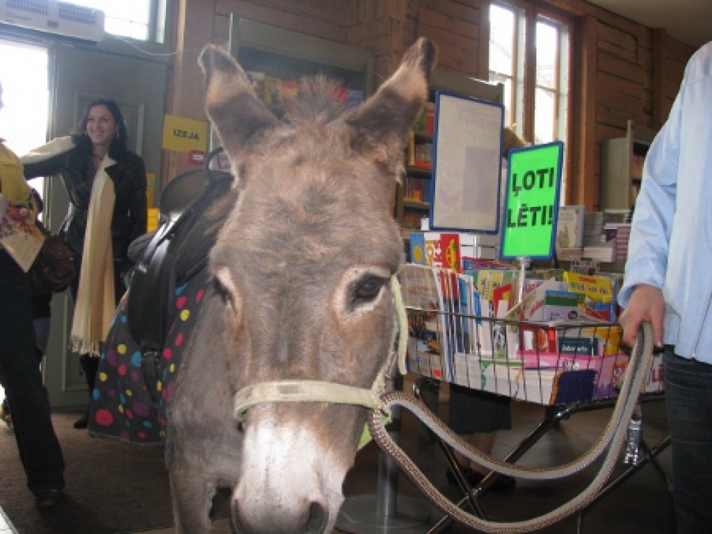 Fotoattēlam ilustratīva nozīme.
Autors: zvaigzne.lv