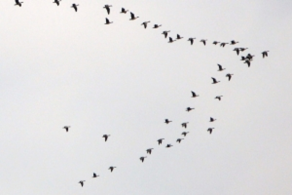 Fotoattēlam ilustratīva nozīme.