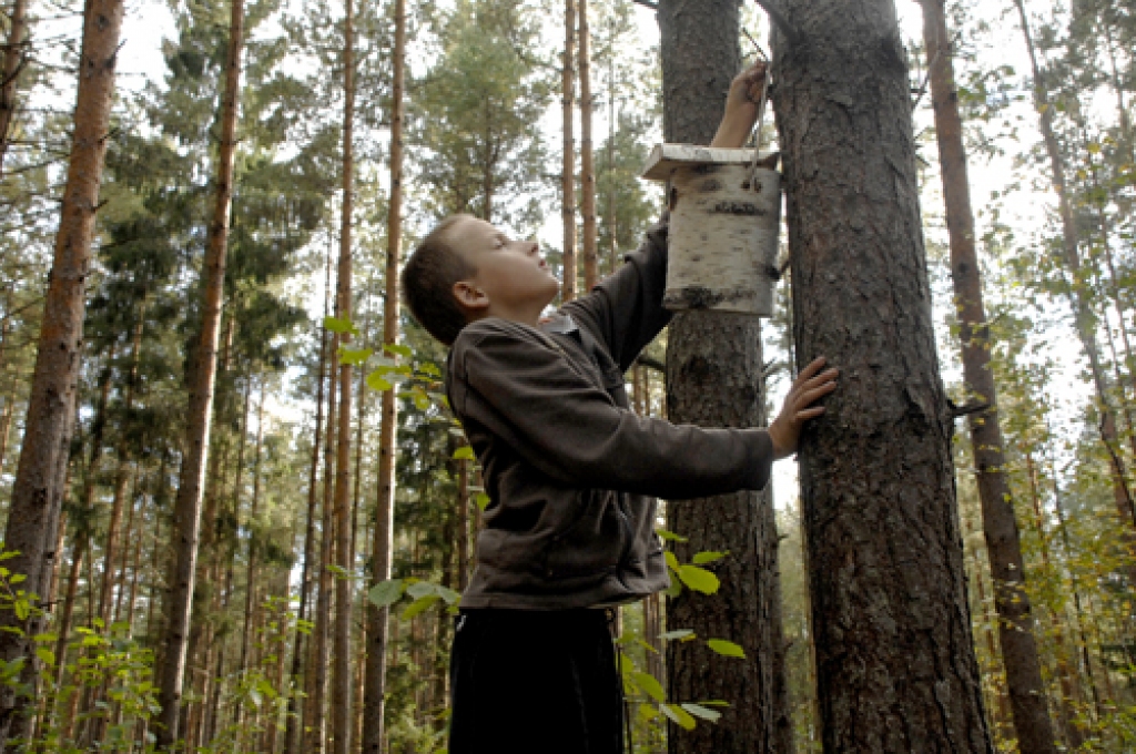 Aigars Slavinskis no Mežgaļu pamatskolas pārbauda, kas vasarā uzturējies viņa kokā iekārtajā būrīti.
Autors: Ivars Bogdanovs