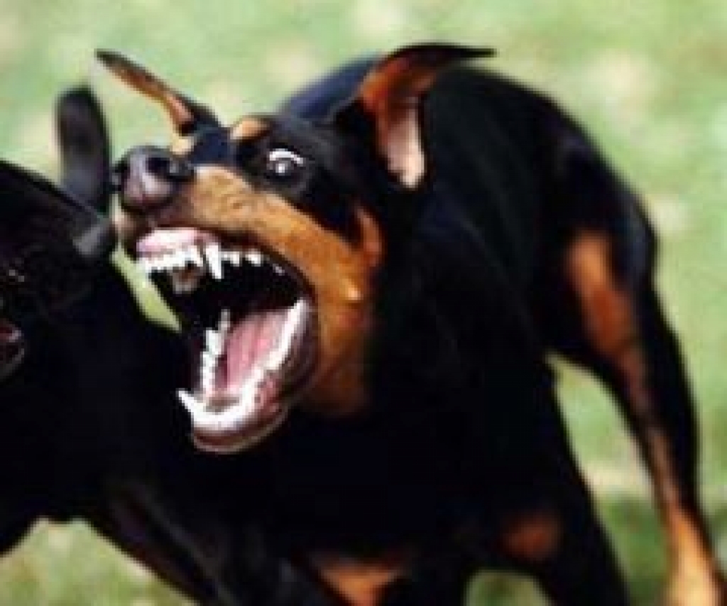 Fotoattēlam ilustratīva nozīme.