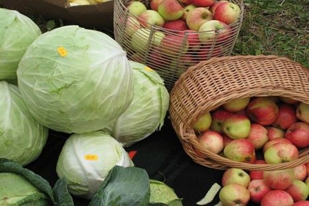 Fotoattēlam ilustratīva nozīme.