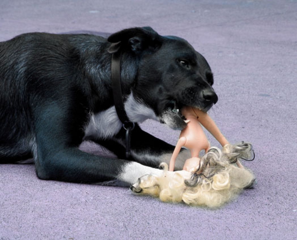 Fotoattēlam ilustratīva nozīme.
Autors: kasjauns.lv