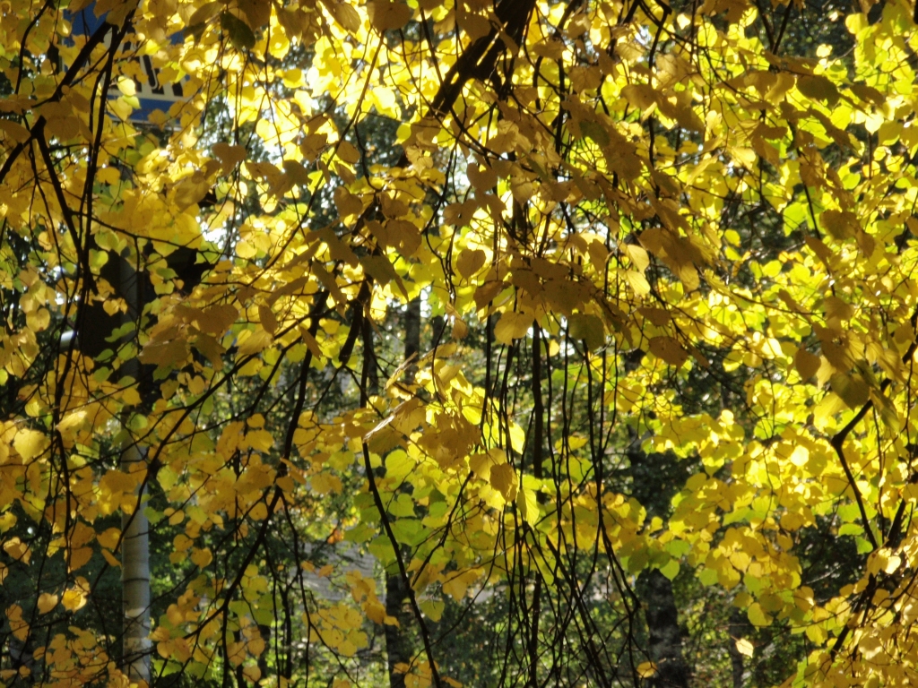 Fotoattēlam ilustratīva nozīme.