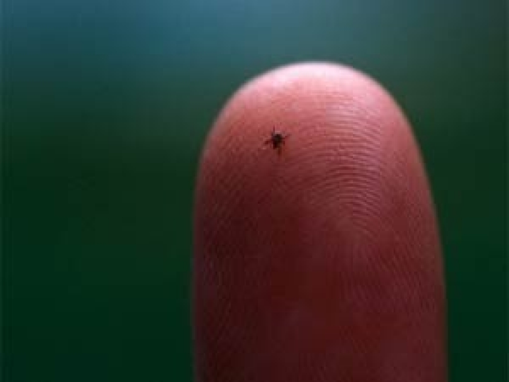 Fotoattēlam ilustratīva nozīme.
Autors: apollo.lv