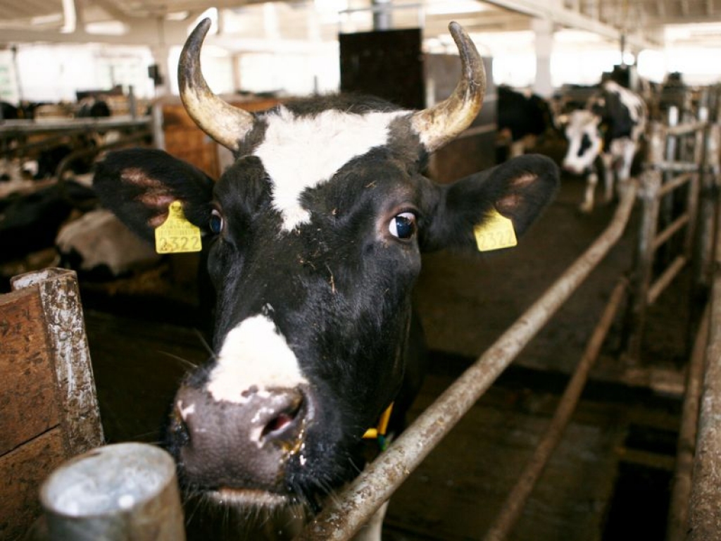 Fotoattēlam ilustratīva nozīme.