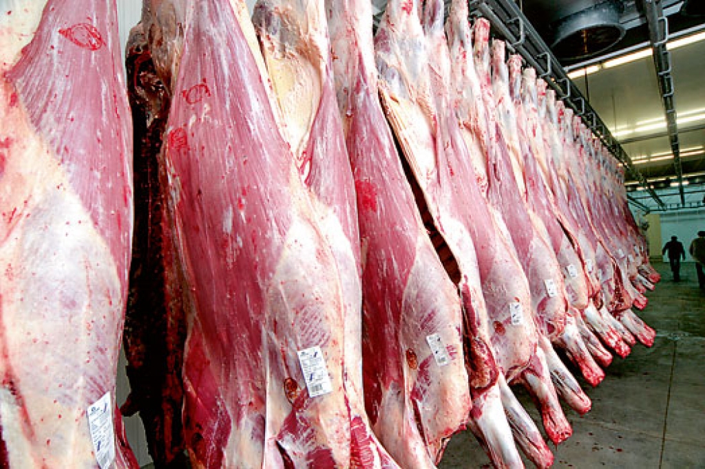 Fotoattēlam ilustratīva nozīme.
Autors: kasjauns.lv