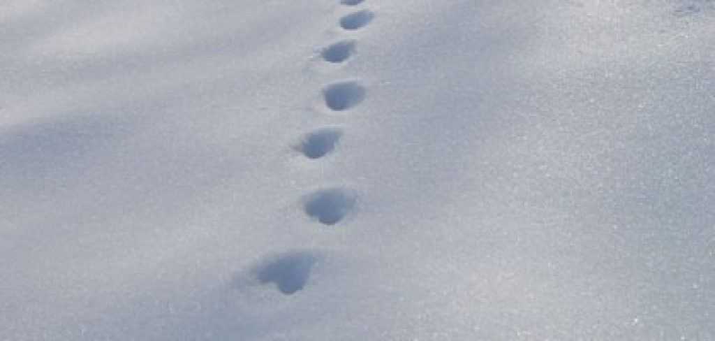 Fotoattēlam ilustratīva nozīme.
Autors: apollo.lv