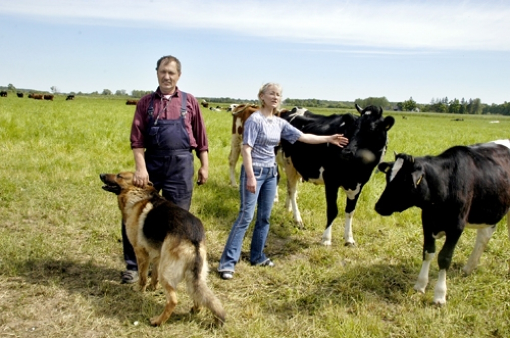 Konkursa «Sējējs 2011» sarīkojumā veicināšanas balvu nominācijā «Ģimene lauku sētā» saņēma Koku ģimene, kas saimnieko Bauskas novada Gailīšu pagasta «Pačūnos».Andris un Baiba Koki, pārceldamies no Rīgas uz laukiem, ir izveidojuši mūsdienīgu piena lopkopības saimniecību.
Autors: No «Bauskas Dzīves» arhīva.